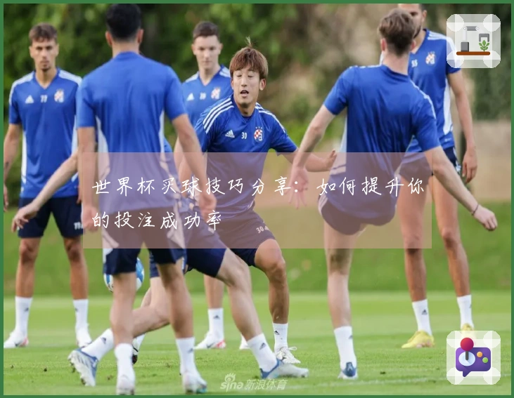 世界杯买球技巧分享：如何提升你的投注成功率