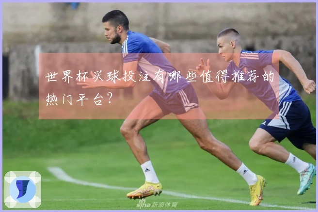 世界杯买球投注有哪些值得推荐的热门平台？