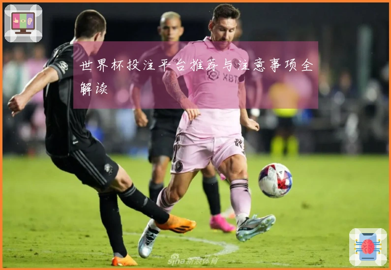 世界杯投注平台推荐与注意事项全解读