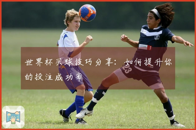 世界杯买球技巧分享：如何提升你的投注成功率